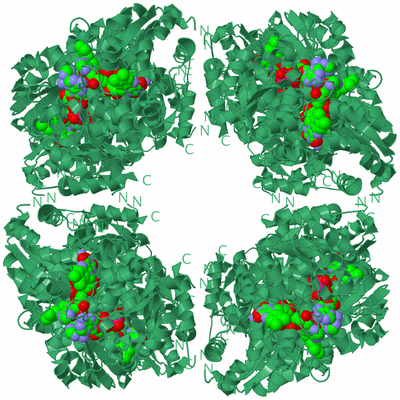 Image Biological Unit 2