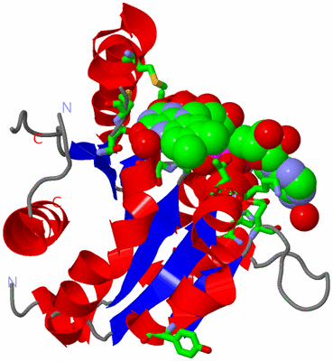 Image Asym. Unit - sites