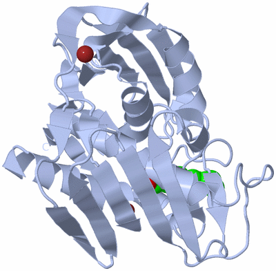 Image Biological Unit 1