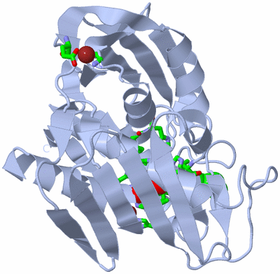 Image Biol. Unit 1 - sites