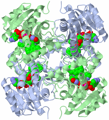 Image Biological Unit 1