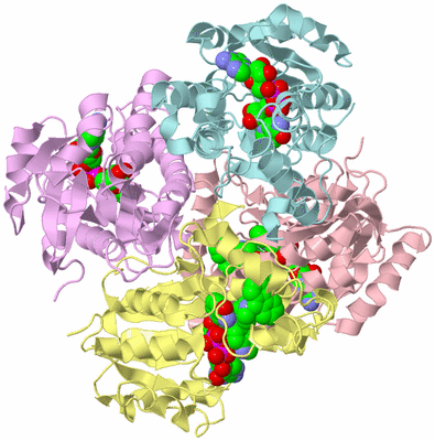 Image Biological Unit 2