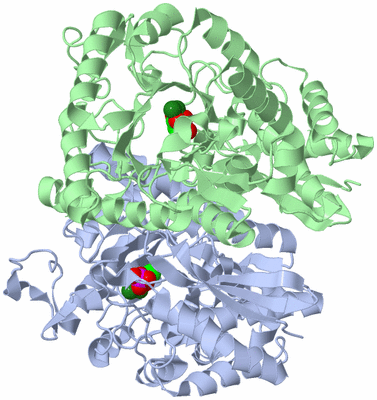 Image Asym./Biol. Unit