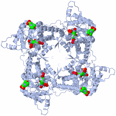 Image Biological Unit 1