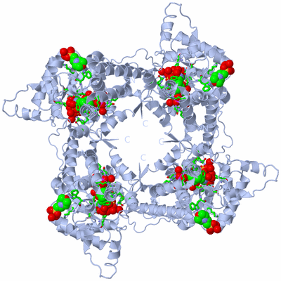 Image Biol. Unit 1 - sites