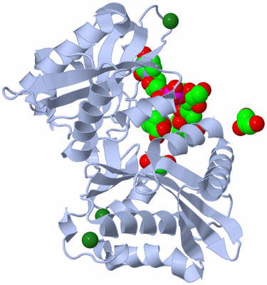 Image Asym./Biol. Unit