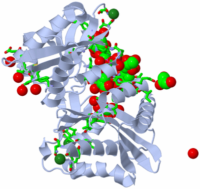 Image Asym./Biol. Unit - sites