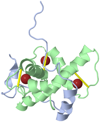 Image NMR Structure - model 1