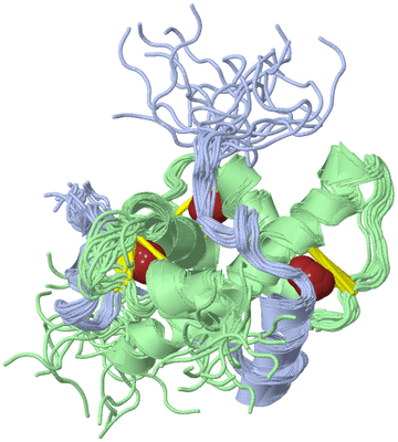 Image NMR Structure - all models