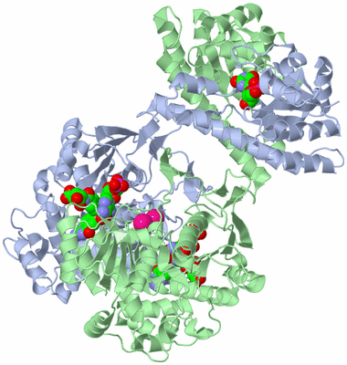 Image Asym./Biol. Unit