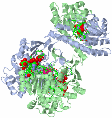 Image Asym./Biol. Unit - sites