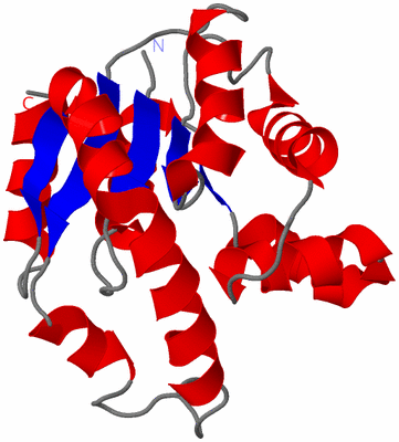 Image NMR Structure - model 1