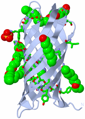 Image Biol. Unit 1 - sites