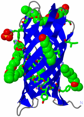 Image Asym. Unit - sites