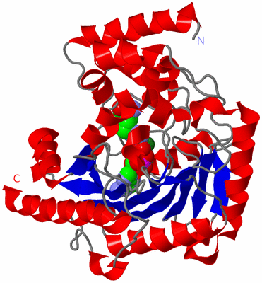 Image Asym./Biol. Unit