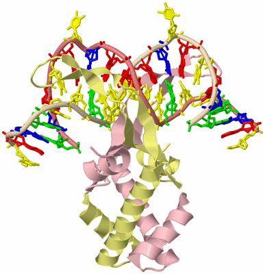 Image Biological Unit 2