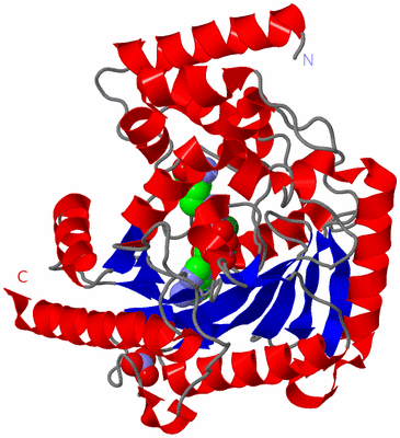 Image Asym./Biol. Unit