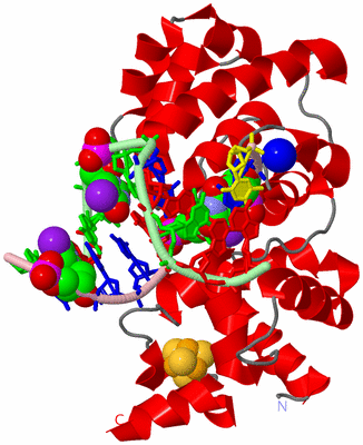 Image Asym./Biol. Unit