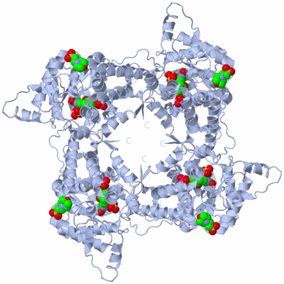 Image Biological Unit 1