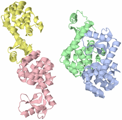 Image Asymmetric Unit