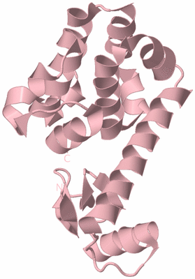 Image Biological Unit 3
