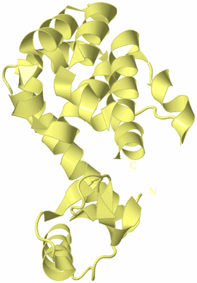 Image Biological Unit 4