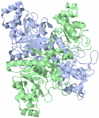 Image Asym./Biol. Unit