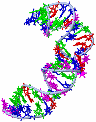 Image NMR Structure - model 1