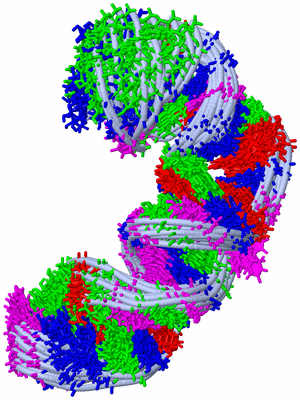 Image NMR Structure - all models