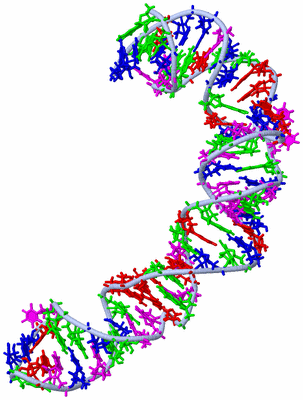 Image NMR Structure - model 1