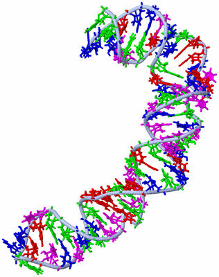 Image NMR Structure - model 1