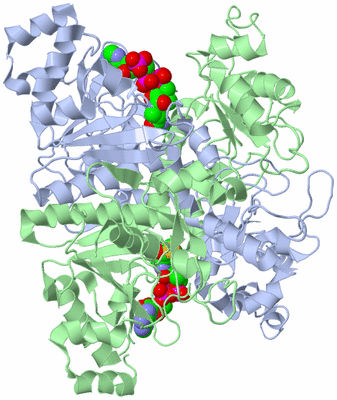 Image Asym./Biol. Unit