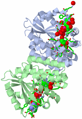 Image Biol. Unit 1 - sites