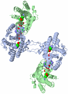 Image Biological Unit 2