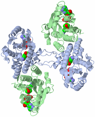 Image Biological Unit 3