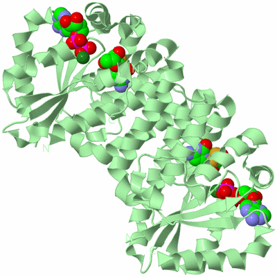 Image Biological Unit 1