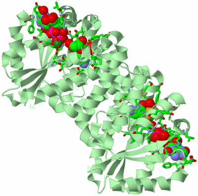 Image Biol. Unit 1 - sites