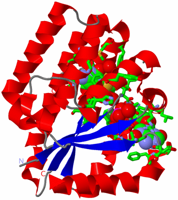 Image Asym. Unit - sites