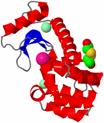 Image Asym./Biol. Unit