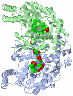 Image Asym./Biol. Unit