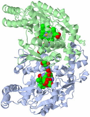 Image Asym./Biol. Unit