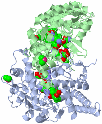 Image Asym./Biol. Unit