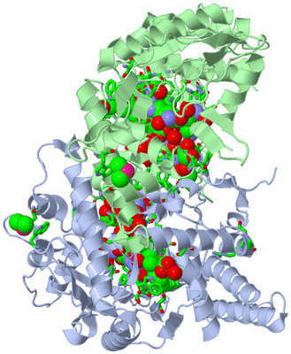 Image Asym./Biol. Unit - sites