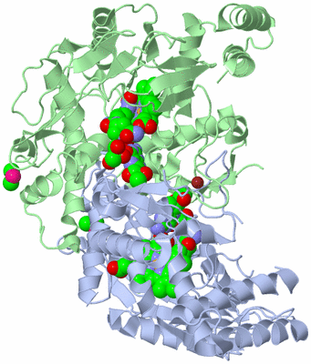 Image Asym./Biol. Unit