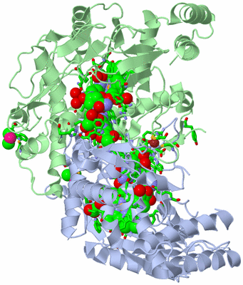 Image Asym./Biol. Unit - sites