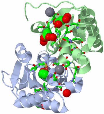 Image Asym./Biol. Unit - sites