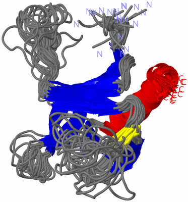 Image NMR Structure - all models