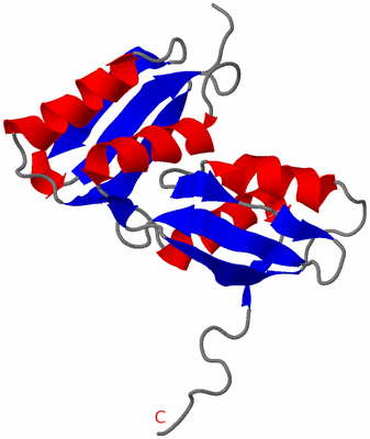 Image NMR Structure - model 1