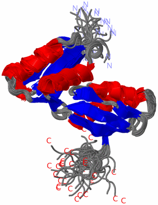 Image NMR Structure - all models