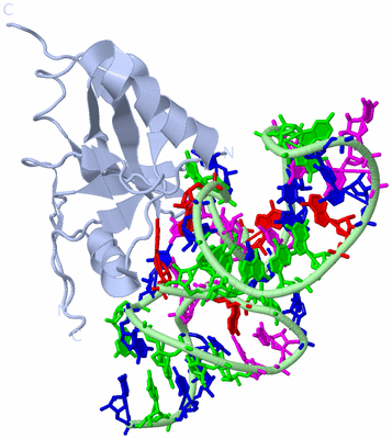 Image Biological Unit 1